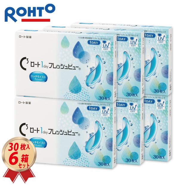 ロート ワンデー フレッシュビュー リッチモイスト 30枚入り 6箱セットの画像