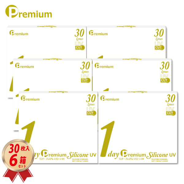 ワンデー プレミアム シリコーン UV 30枚入 6箱セットの画像