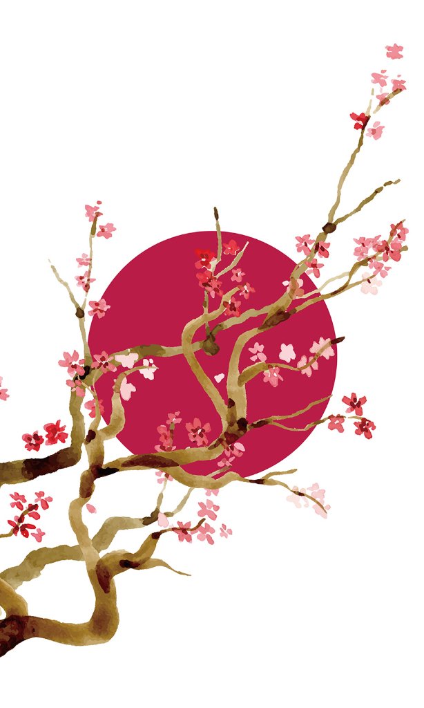 陽紅梅（あみど）の画像