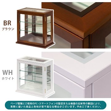 スリムコレクションケース　ヨコ型　BR/WHの画像
