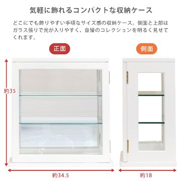 スリムコレクションケース　ヨコ型　BR/WHの画像