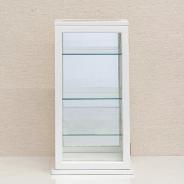 スリムコレクションケース　タテ型　BR/WHの画像