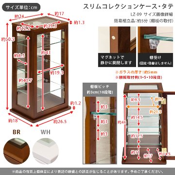 スリムコレクションケース　タテ型　BR/WHの画像