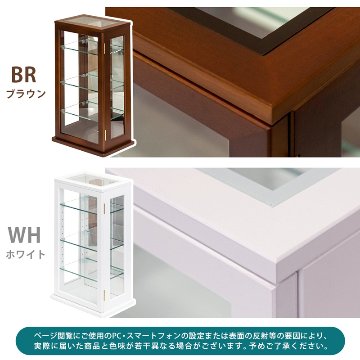 スリムコレクションケース　タテ型　BR/WHの画像