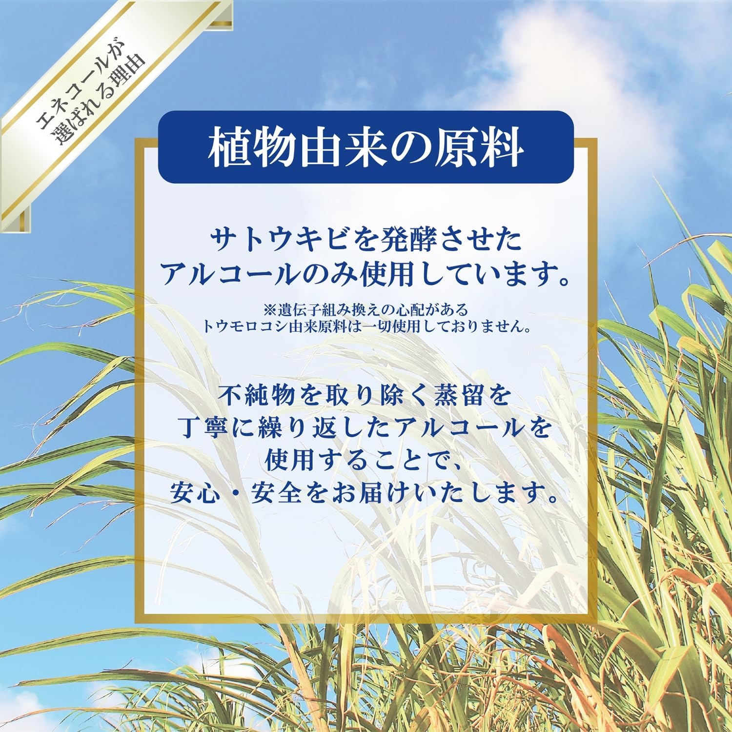 【非遺伝子組換】日本製　除菌用エタノール18kg※詰替え用コック付き　アルコール 65%　 詰替液　エネコール６５  65度 日本製  エタノール製剤 業務用 衛生用品 (18kg(X1))の画像