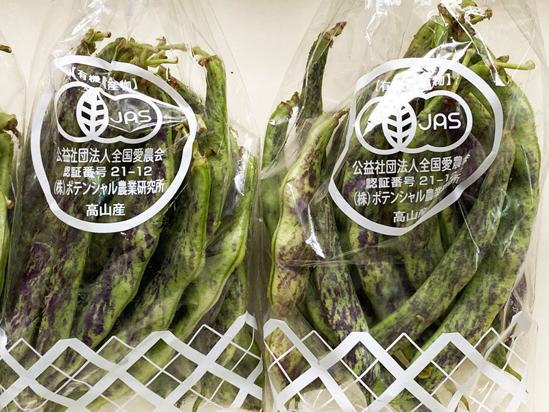 【定期便】ポテンシャル農業研究所 　おまかせ野菜セット画像