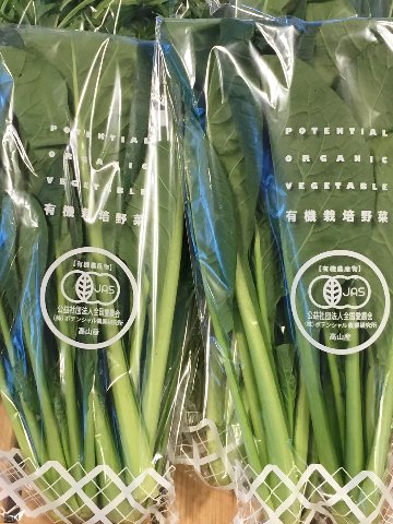 【定期便】ポテンシャル農業研究所　小さな野菜セット画像