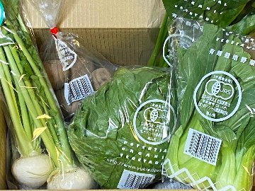 【定期便】ポテンシャル農業研究所　小さな野菜セット画像