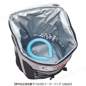 アージェントエイド　熱中症応急処置クーラーバッグ＃C2426GY　リュック型／グレーの画像