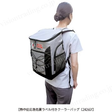 アージェントエイド　熱中症応急処置クーラーバッグ＃C2426GY　リュック型／グレーの画像