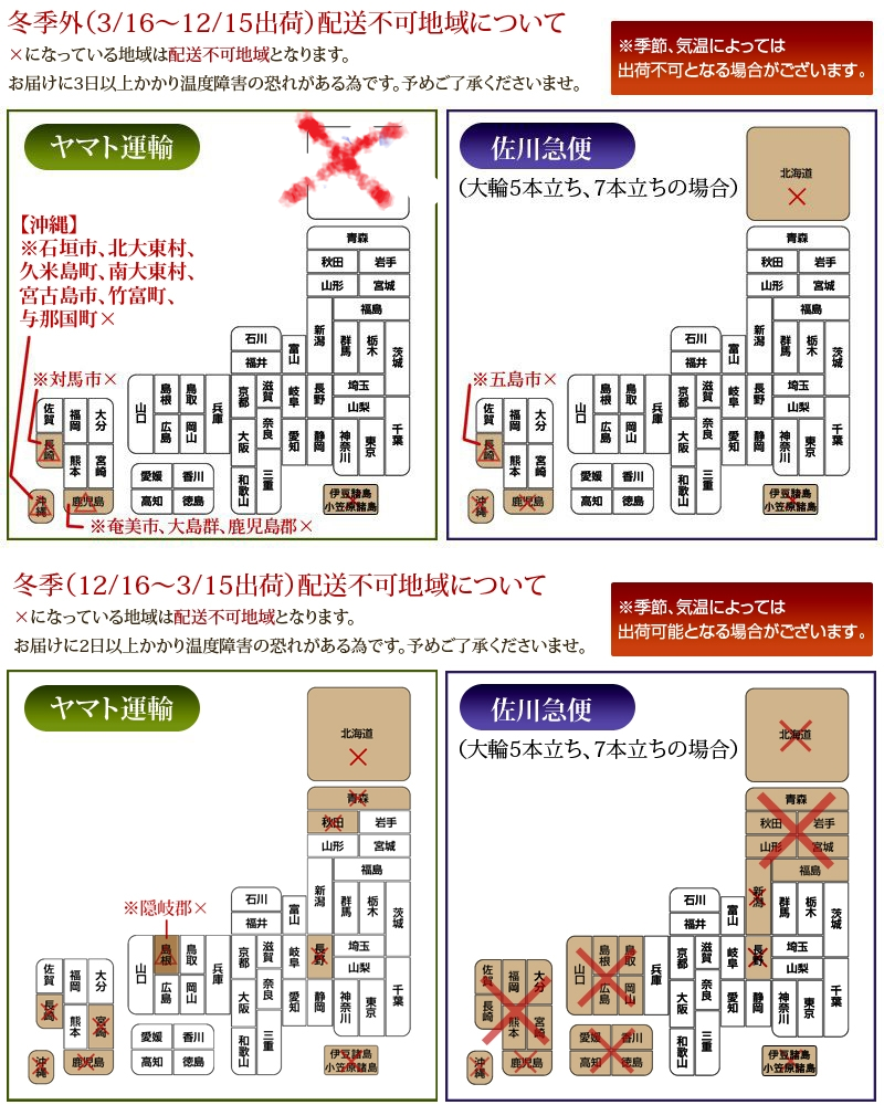 ミディ　とりわけ胡蝶蘭　2本立て×5鉢入り　ピンク系の画像