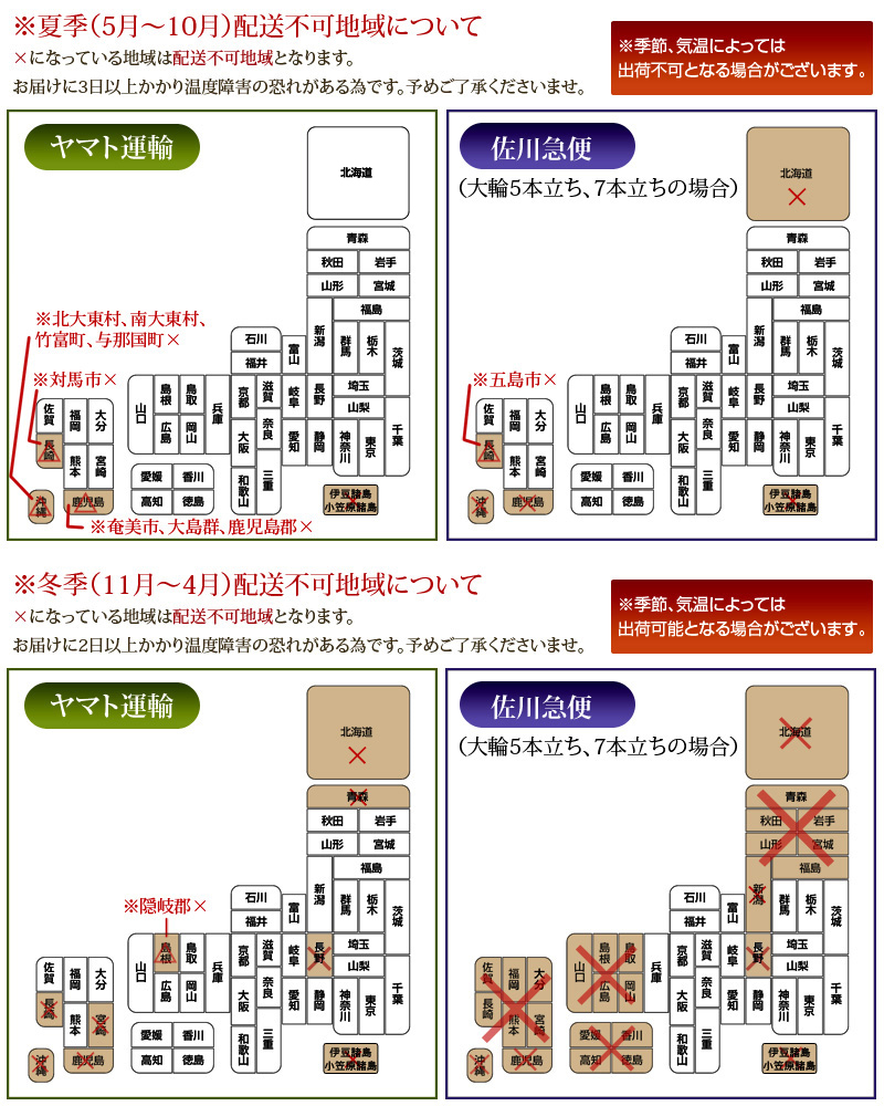 胡蝶蘭　白大輪　３本立ち　４２輪以上の画像