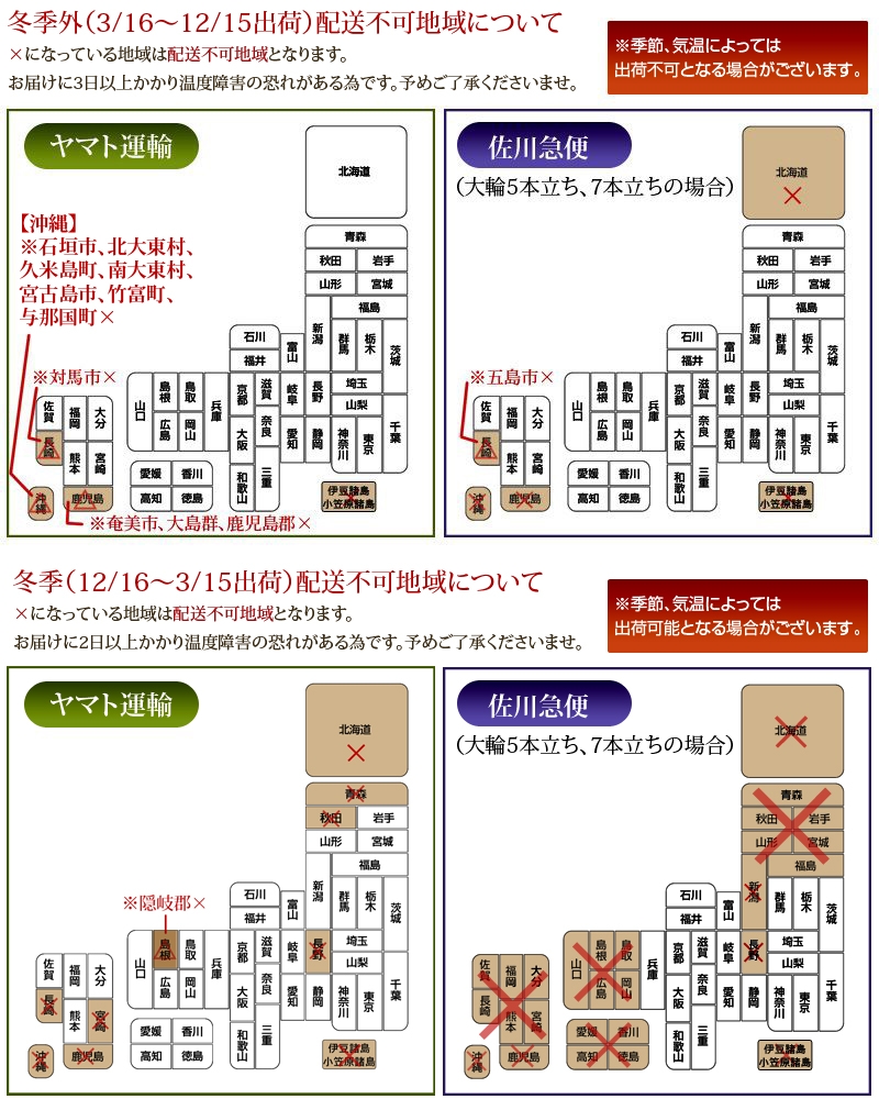 胡蝶蘭　白ミディ　２本立ち　１8輪以上画像