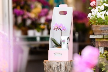 胡蝶蘭とハンドクリームのギフトセット　ピンク系　画像