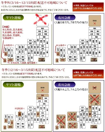 胡蝶蘭とハンドクリームのギフトセット　オレンジ系　画像