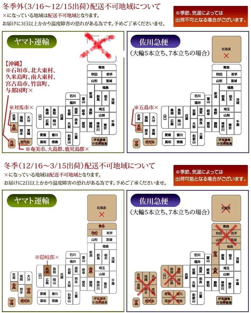 観葉植物　ユッカ　8号鉢入り　背丈約100~120㎝　カゴ付きの画像