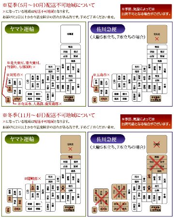 胡蝶蘭　白ミディ　２本立ち　１４輪以上の画像