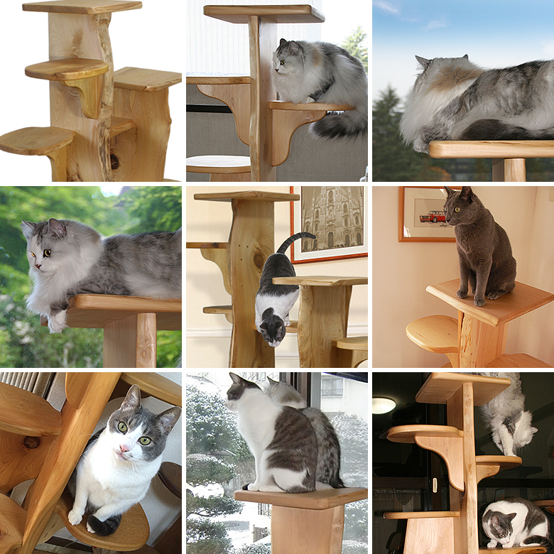 キャットツリーひぐらし　支柱2本タイプ（特注）の画像