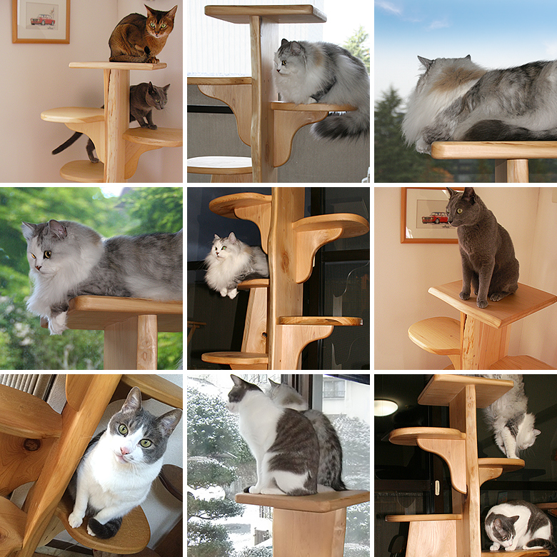 キャットツリーひぐらし　支柱1本タイプ【特注】の画像