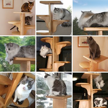 キャットツリーひぐらし　支柱1本タイプ【特注】の画像