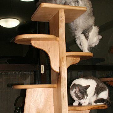 キャットツリーひぐらし　支柱1本タイプ【特注】の画像