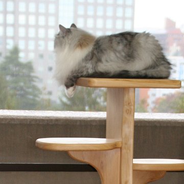 キャットツリーひぐらし　支柱1本タイプ【特注】の画像