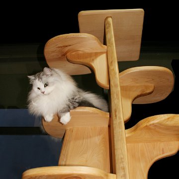 キャットツリーひぐらし　支柱1本タイプ【特注】の画像