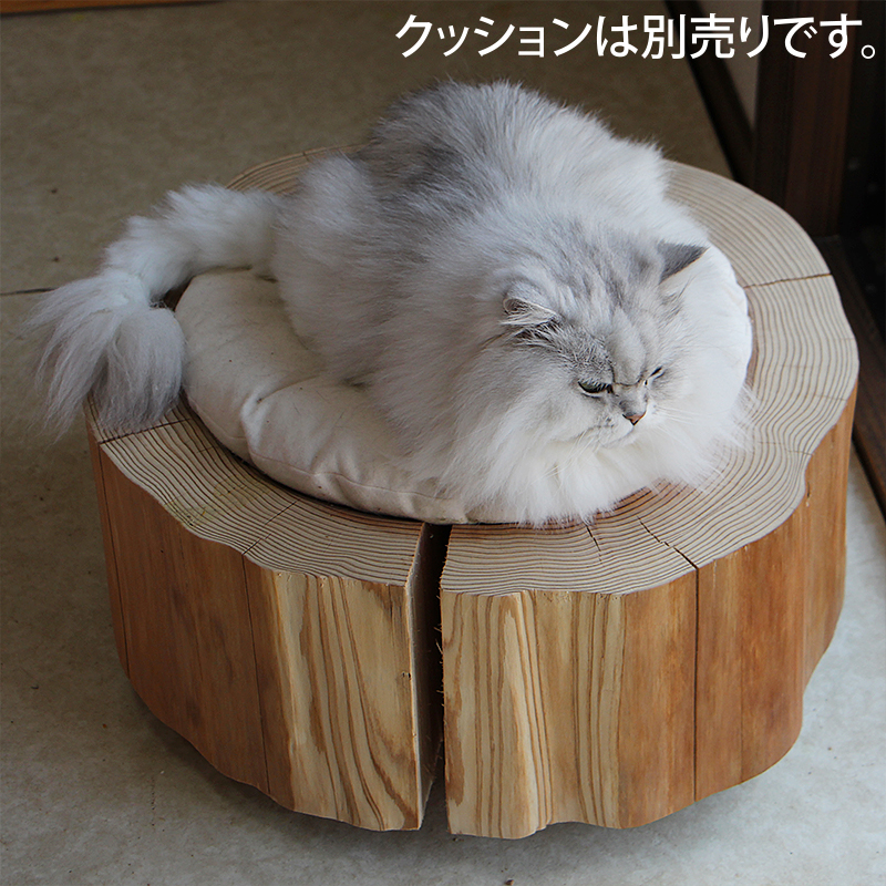 猫さんの丸太ベッド（きりかぶ20）の画像