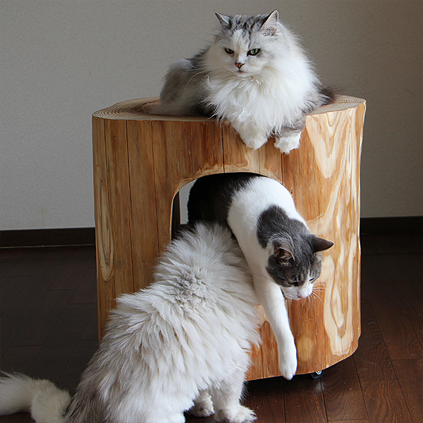 猫さんの丸太ベッド（ほこら）の画像