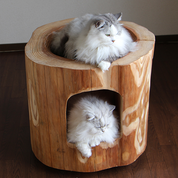 猫さんの丸太ベッド（ほこら）の画像