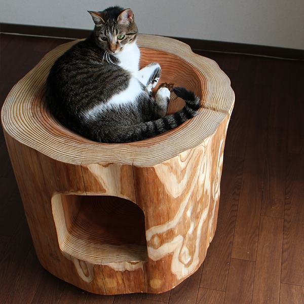 猫さんの丸太ベッド（ほこら）の画像