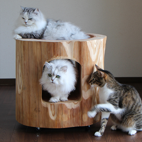 猫さんの丸太ベッド（ほこら）の画像