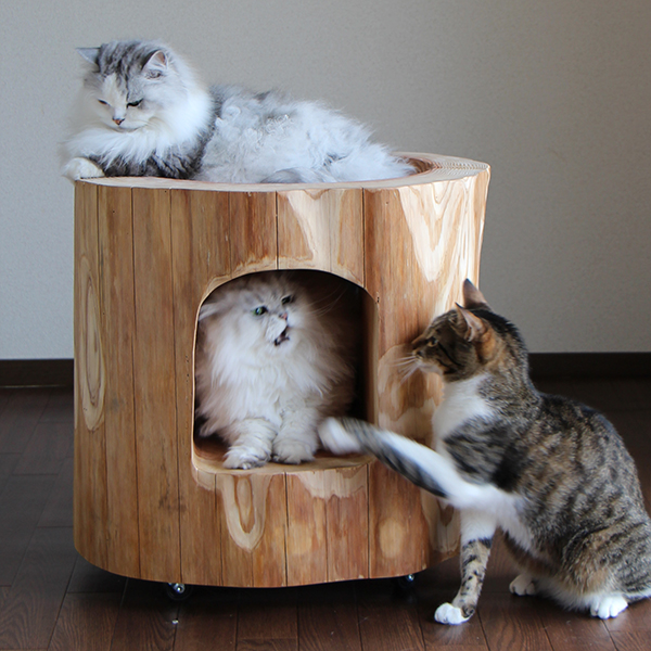 猫さんの丸太ベッド（ほこら）の画像