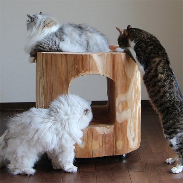 猫さんの丸太ベッド（ほこら）の画像