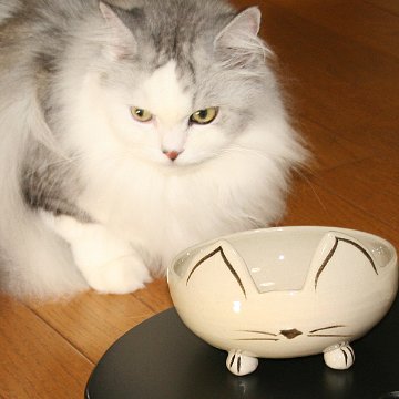 猫さんのごちそう茶碗・白画像