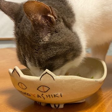 猫さんのごちそう皿・白画像