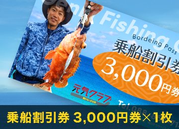 "ゲストハウス宇楽家　お一人様素泊まり一泊宿泊券+乗船割引券　3,000円分1枚"の画像