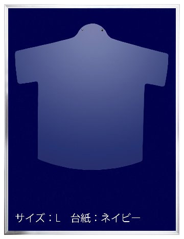 【メーカー直送品】オリジン L111 シルバー ユニフォーム・Tシャツ用額の画像