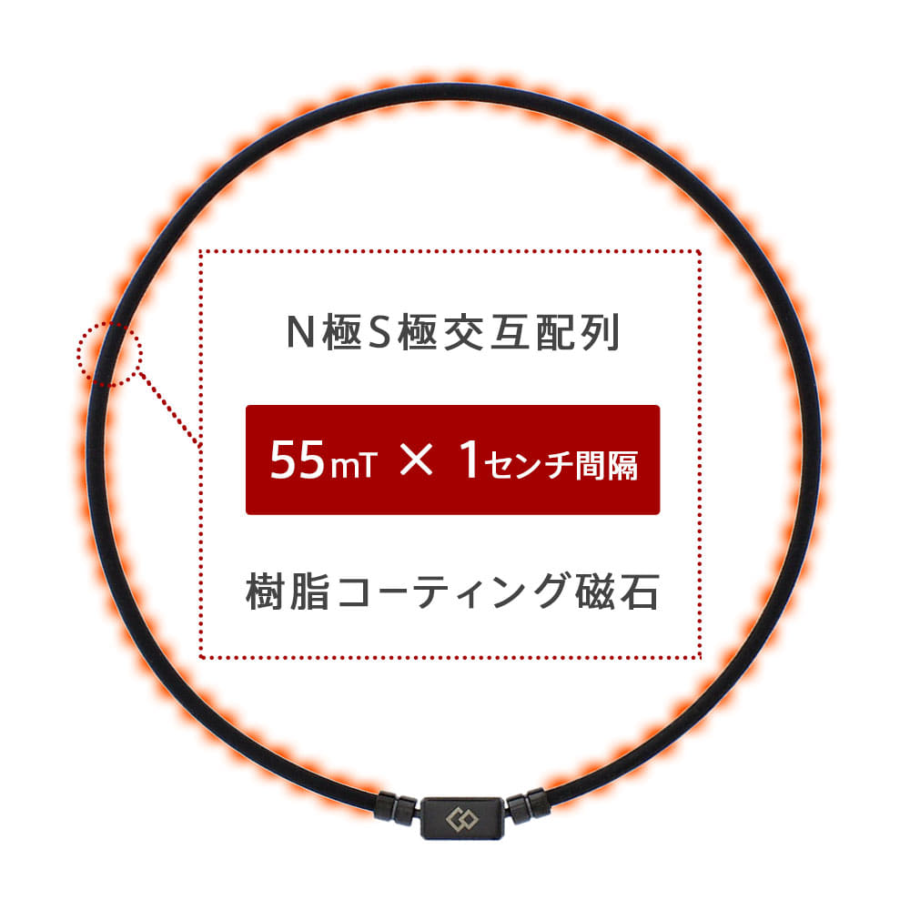 TAO ベーシックの画像