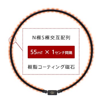 TAO ベーシックの画像