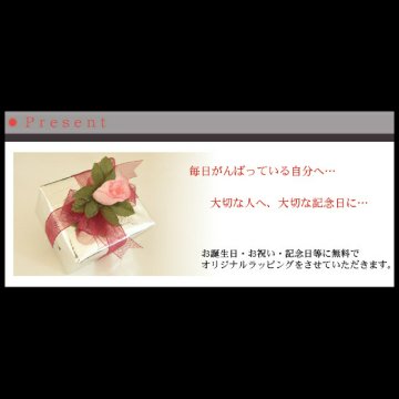 【トリロジー】ロードライトガーネットイヤリング/K14WG（ホワイトゴールド）☆幸せになれる誕生石1月ガーネットを贈り物に画像