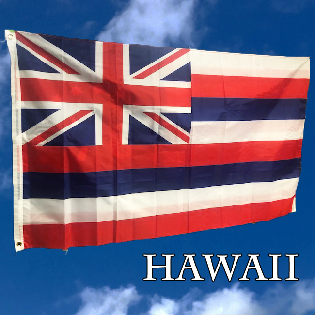 ハワイ州旗 HAWAIIフラッグ タペストリー アメリカン雑貨画像