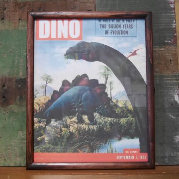 恐竜　ダイナソー インテリアピクチャー ポスター フレーム　フレームセット　インテリア額画像