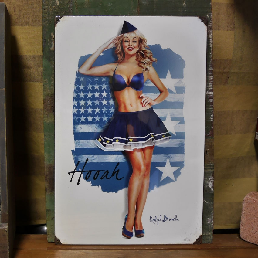 ピンナップガール AIR FORCE GIRL ミリタリー ブリキ看板 ヴィンテージ看板の画像