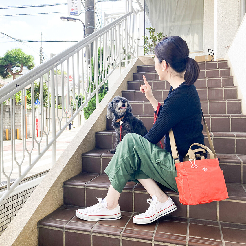 トートバッグ SN スクエア DOG BUDDY レジャーシート 手提げカバン バディ お散歩 トートアメリカン雑貨の画像