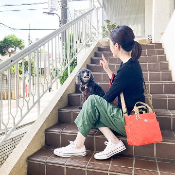 トートバッグ SN スクエア DOG BUDDY レジャーシート 手提げカバン バディ お散歩 トートアメリカン雑貨の画像