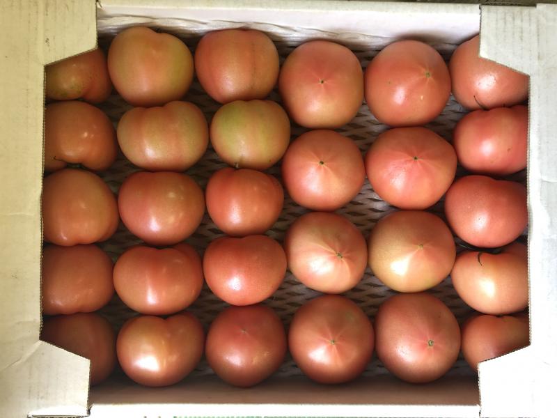 武久農園の桃太郎トマト 秀 Mサイズ 約4kg箱画像