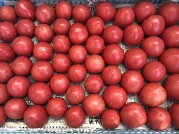 武久農園の桃太郎トマト2S　約1kg画像