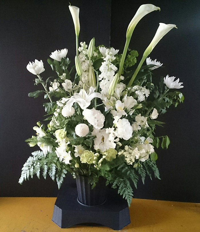 青柳(あおやぎ)の画像