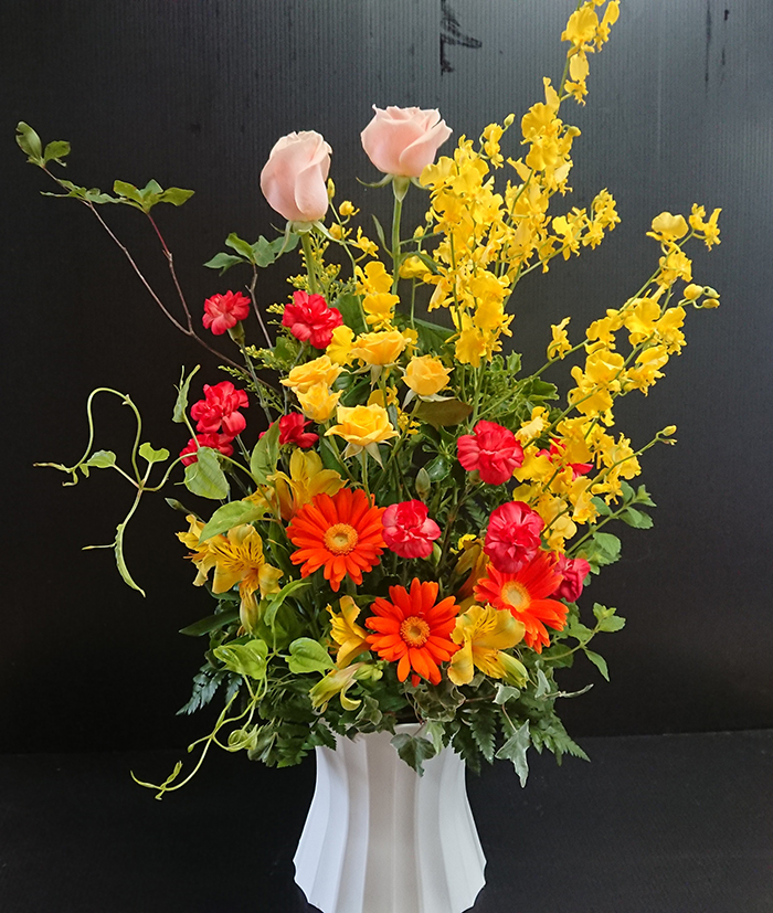 金糸雀(かなりあ)の画像